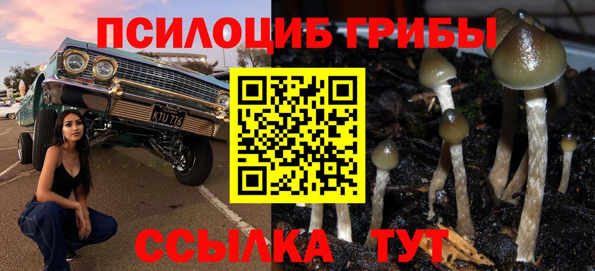Галлюциногенные грибы прущие грибы  цены   Галлюциногенные грибы мухоморы  Муравленко  Вход с VPN 