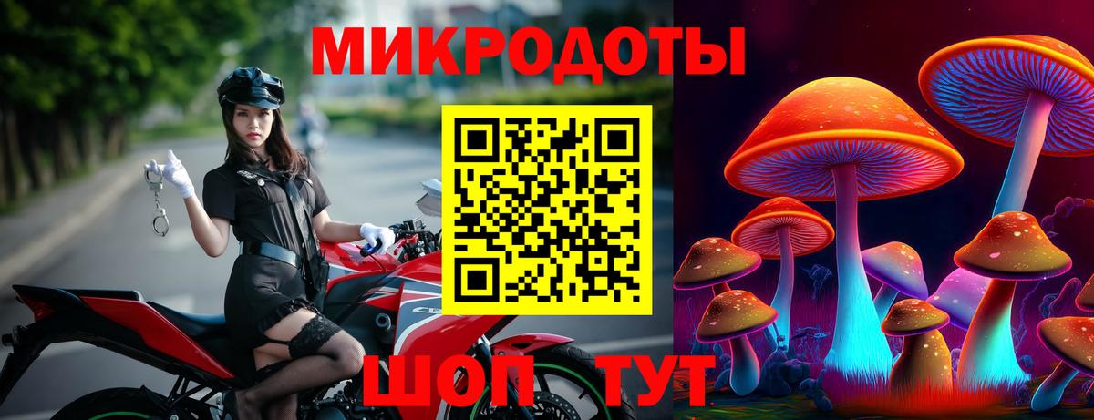 Псилоцибиновые грибы прущие грибы Муравленко